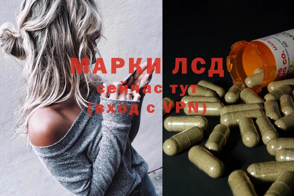герыч Арсеньев
